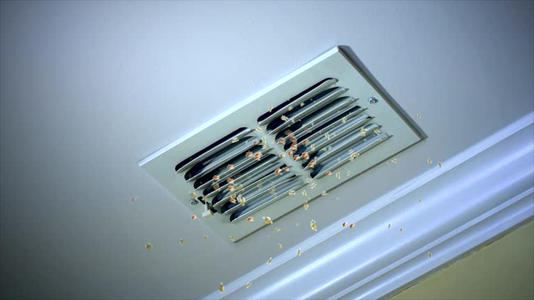 Best Local Air Duct Cleaning Services  in Cade, LA